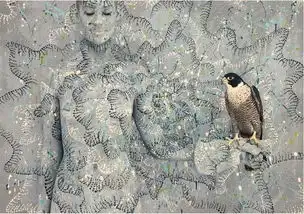 见惯了动物界隐形大师,人类给出这样的回应,最后一个竟凭空消失
