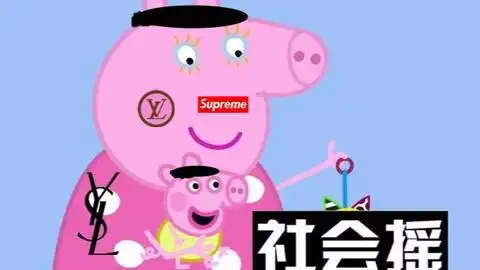 试玩抖音网红猪,神奇好玩小猪佩奇,说一句他学一句还会边唱边跳
