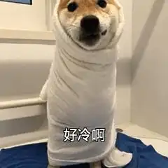 适合天气变冷发的朋友圈沙雕文案
