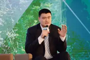 杭州开了个啥重要的会潘基文马云姚明李连杰都来了
