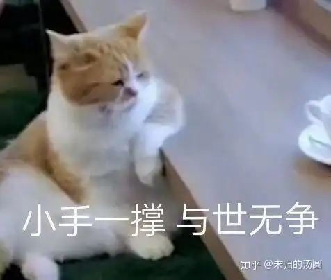 女孩子问加我是有什么事吗怎么回答
