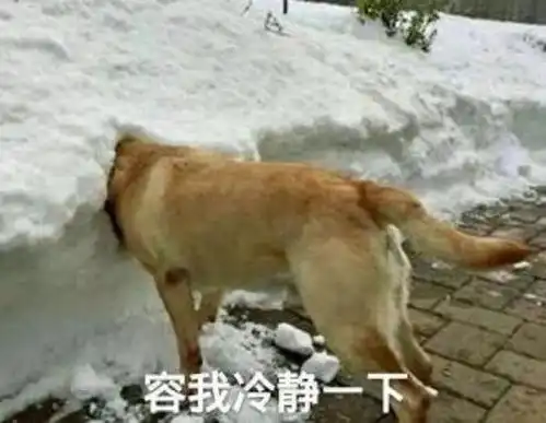 襄阳男子一口下去赔了13万
