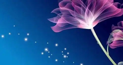 外表看似呆傻,不理世事,实则内心精明的星座,属于真正的王者
