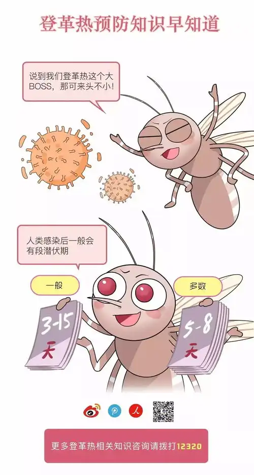 科普丨漫画图解登革热,让你不再被蚊子叮叮叮
