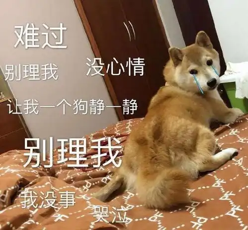 搞笑可爱表情包