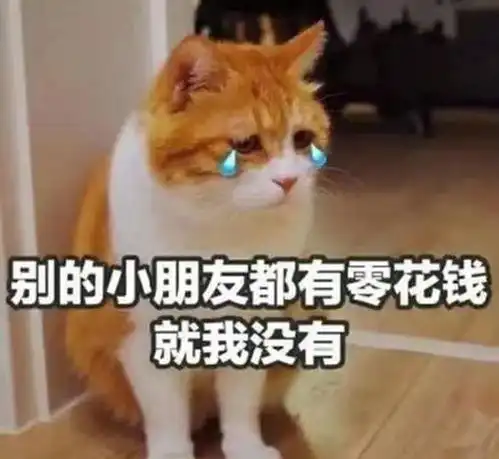 大学生生活费也分等级,最后一等让人羡慕,看看你在哪个位置
