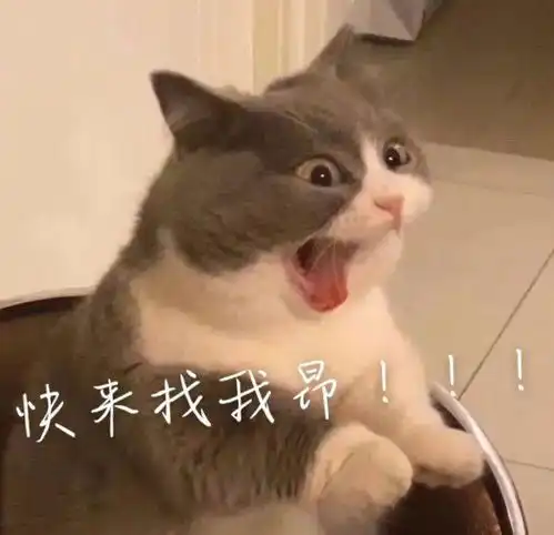 闽理表白墙009期我写给别人的是信,写给你的却是情书匿名
