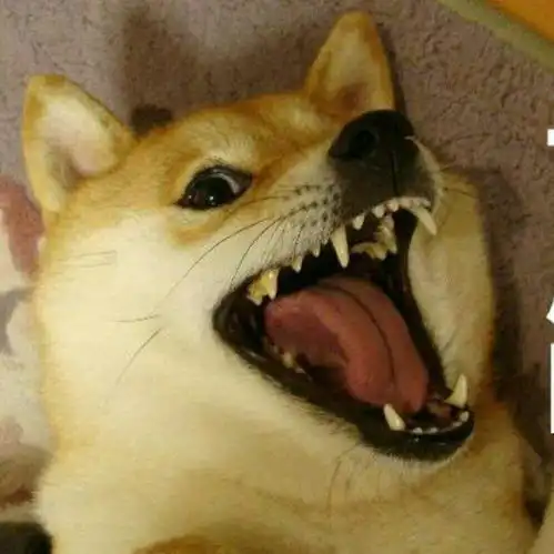 关于职场上的那些事

