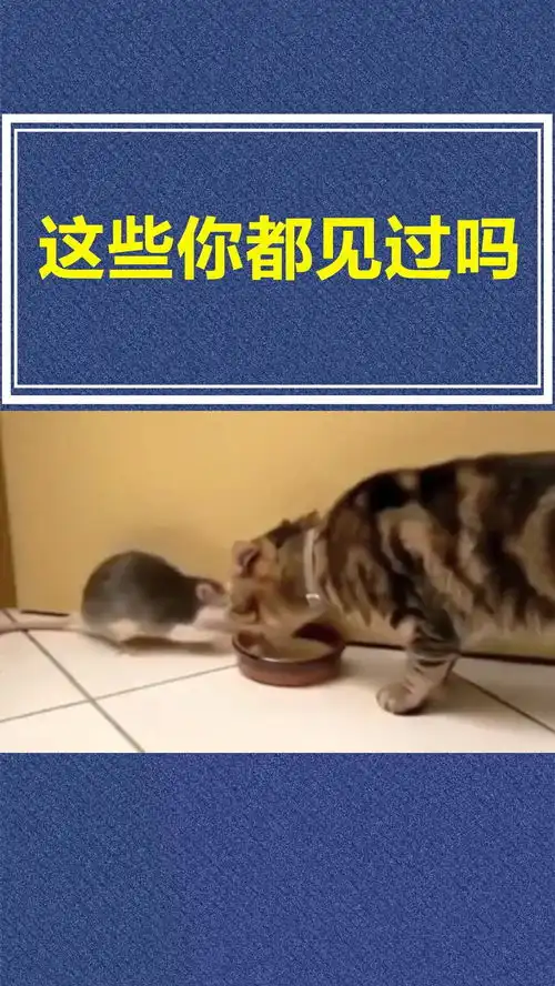 这些有趣的动物冷知识,你都知道吗大开眼界冷知识

