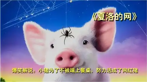 爆笑解说猪崽子为了不被端上餐桌,努力活成了一个明星
