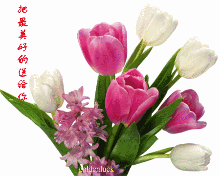早上好亲爱的问候语图片带字,最特别的早上好温馨表情祝福语
