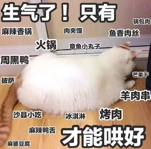 双十一前,千万别翻男友的淘宝搜索记录网友晒出结果......扎心了
