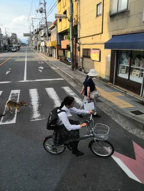 哔哩哔哩专栏