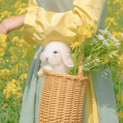2023简单干净好看头像