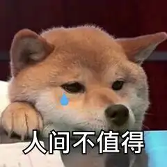 有趣表情包获取单身汪
