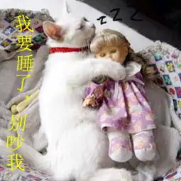 13会妖魔鬼怪猩猩猴子奶牛猪头恶搞的地方

