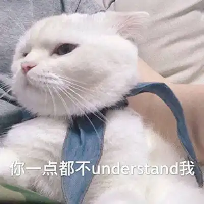 猫咪超级萌超级搞笑带字头像2018最新版徒有一腔孤勇无处安放
