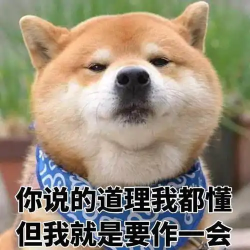 我的超奇葩室友,高学历好工作,居然人品差到极致学历与人品无关
