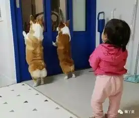 妹子,你穿裙子还敢玩滑梯,这下尴尬了吧
