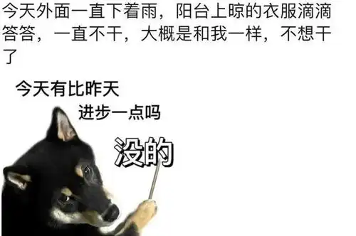 贼啦能笑死人的搞笑文案

