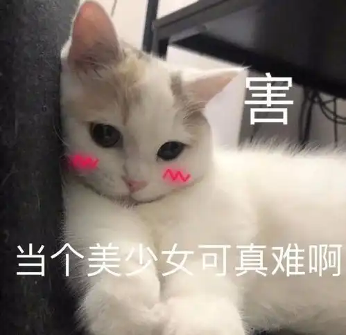 最新热门表情包动图片可爱搞笑快乐