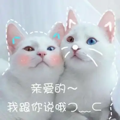可爱猫咪带字头像搞笑图片大全2018伸手怕犯错缩手怕错过
