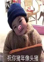 祝你猪年像头猪表情包好玩吗祝你猪年像头猪表情包怎么玩用户评论
