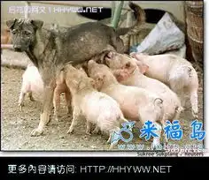 人气排行笑话大全第3751页

