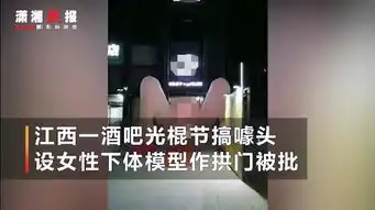 江西一酒吧光棍节搞噱头设女性下体模型作拱门被批恶俗
