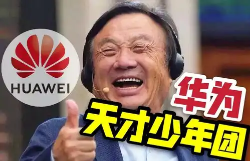 别说不尊重科技人才华为招聘天才少年,去年最高获得201万
