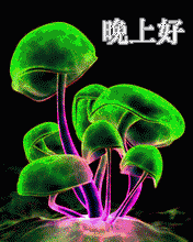 特别漂亮的晚上好图片,微信晚安图片带字句子
