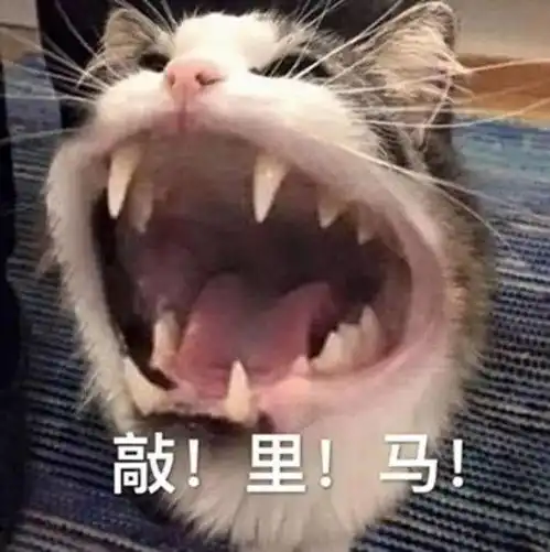 100个沙雕有趣的搞笑表情包
