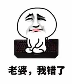 我媳妇表情包
