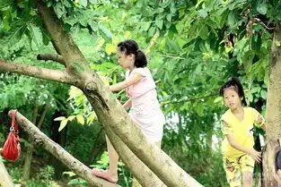 小女孩爬树
