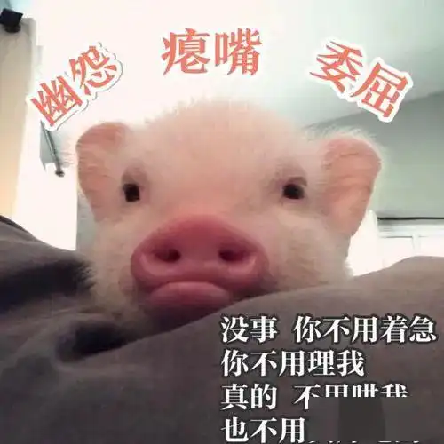 pig是猪,head是头,但pigheaded可不是猪头
