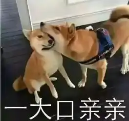 每日爆笑动态图说出来你可能不信,我今天打车,差点被车打了
