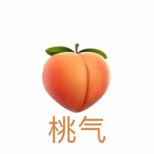 谐音梗表情包
