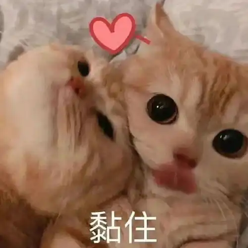 国潮集体婚礼广州爱的号码牌得靠抢
