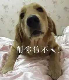 新年快乐新年了,没有一些狗狗的表情包还怎么愉快的聊天