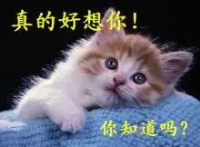 qq表情搞笑qq表情动物图片真的好想你
