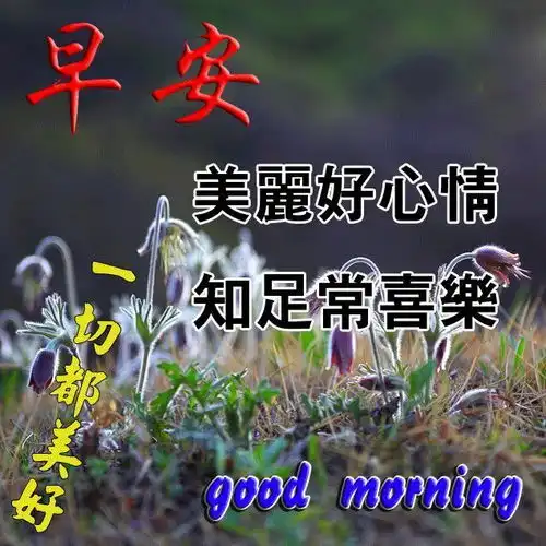 微信群发早安最火的动态图片大全春天暖心的问候朋友语录大全