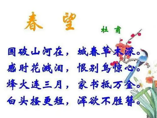 诗人为什么写诗李白任性,杜甫忧愁,迫不得已的便是他
