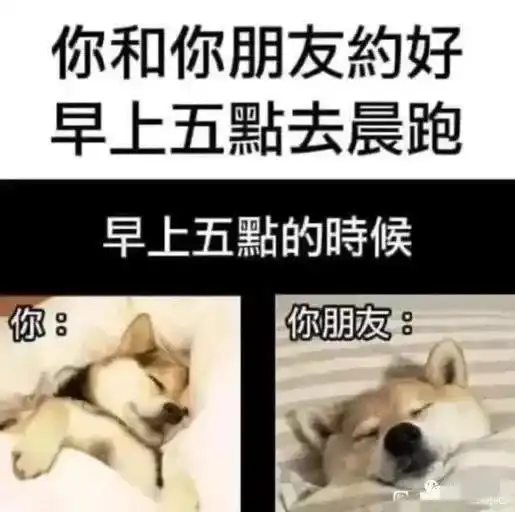 搞笑趣图当你和你的朋友约好5点晨跑,而现在5点半了都还在梦中
