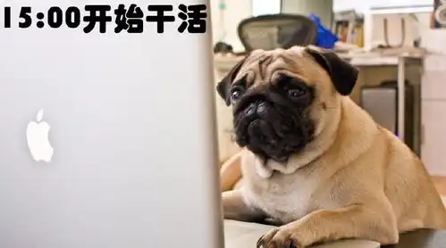 上班狗的一天简直和我一毛一样
