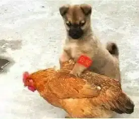 搞笑图片妹子能让一让吗我是来拍风景的
