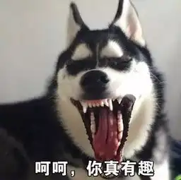 自己家犯二的是二哈,别人家的才是哈士奇
