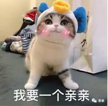 哇你好帅的可爱表情包