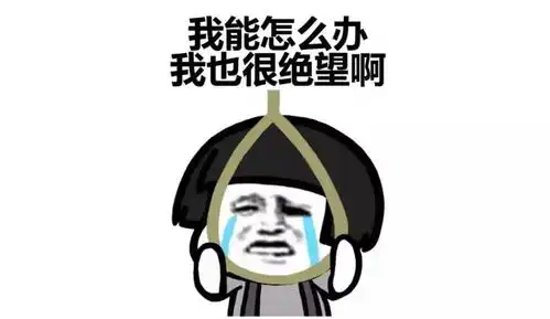 如何凭本事搞砸公司的项目
