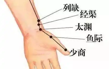 艾灸养生丨秋季艾灸很重要调养肺部秋季不咳嗽
