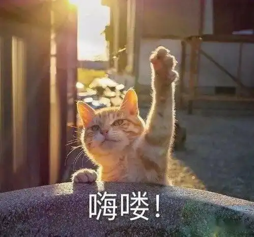 绵消小述第八期